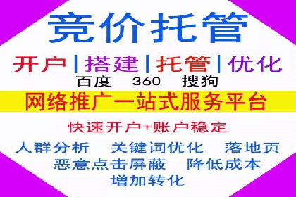 某公司网站sem托管项目纪实